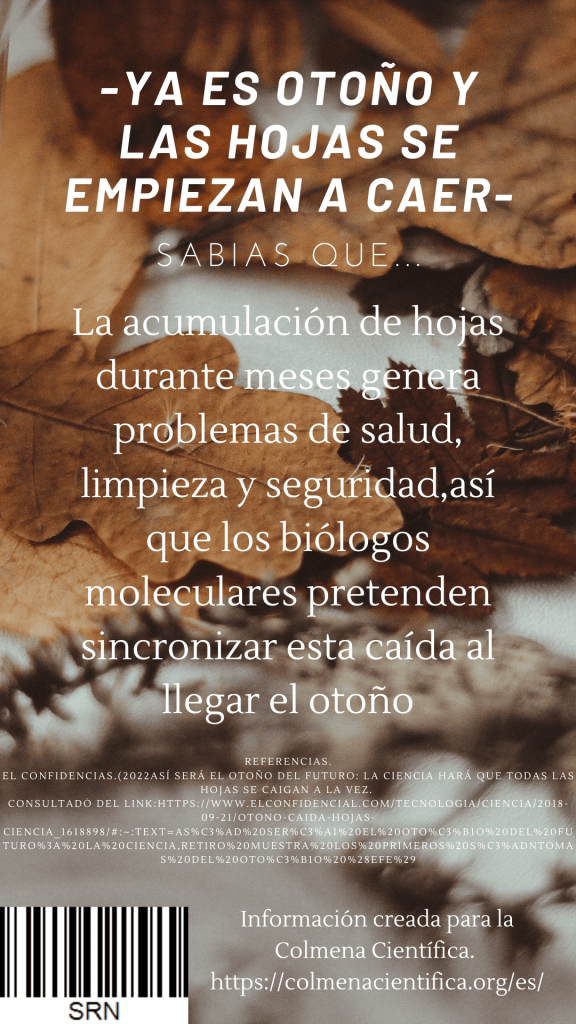 aportacion 2_sofia rosas nunez